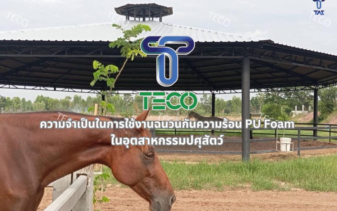 ความจำเป็นในการใช้งานฉนวนกันความร้อน PU Foam ในอุตสาหกรรมปศุสัตว์ โดยเฉพาะ “โรงเรือนปศุสัตว์”