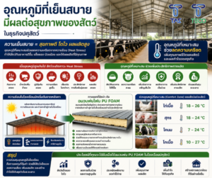 อุณหภูมิที่เย็นสบาย มีผลต่อสุขภาพของสัตว์ในธุรกิจปศุสัตว์